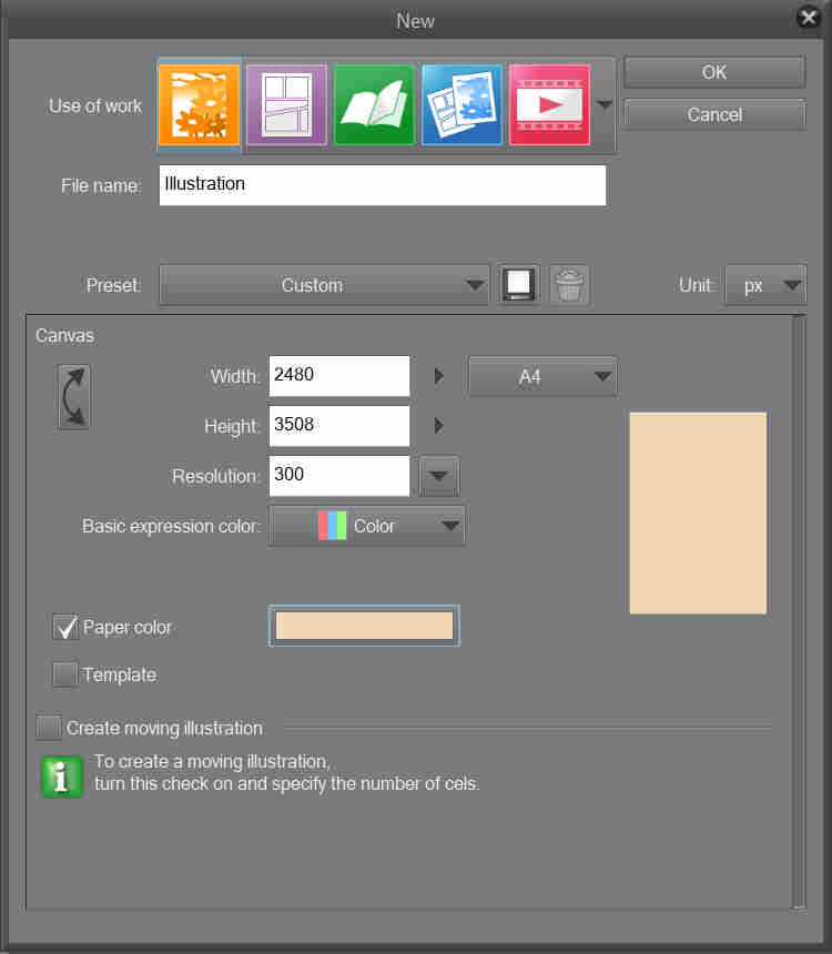 New document set up in Clip Studio Paint EX
