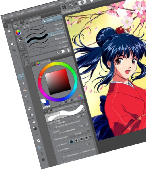 clip studio paint pro.